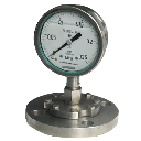 Diaphragm Pressure Gauge
