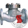 up-down check valve 