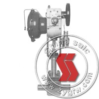 pneumatic single-seat control valve
