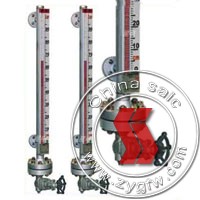 Top mounted magnetic level meter